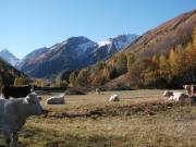 La rivine en automne 